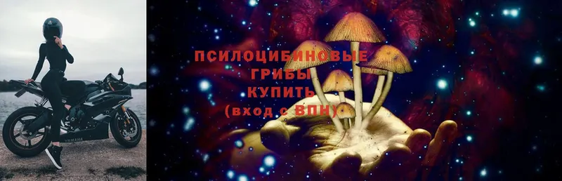 Псилоцибиновые грибы MAGIC MUSHROOMS  Шумерля 